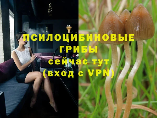 а пвп мука Абаза