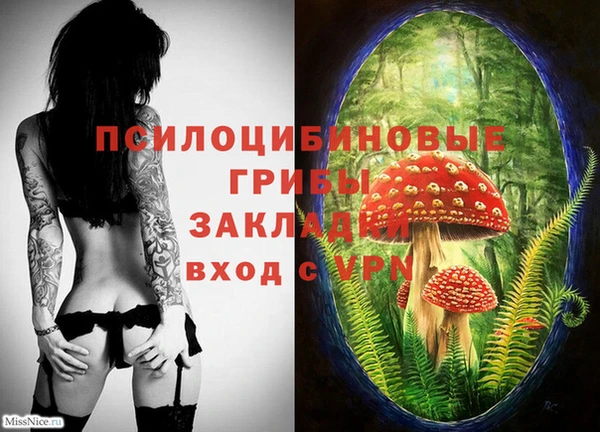 прущий лед Абдулино