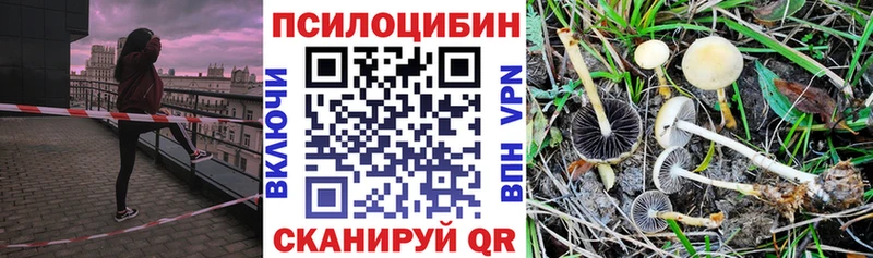 Галлюциногенные грибы мицелий  Яхрома 